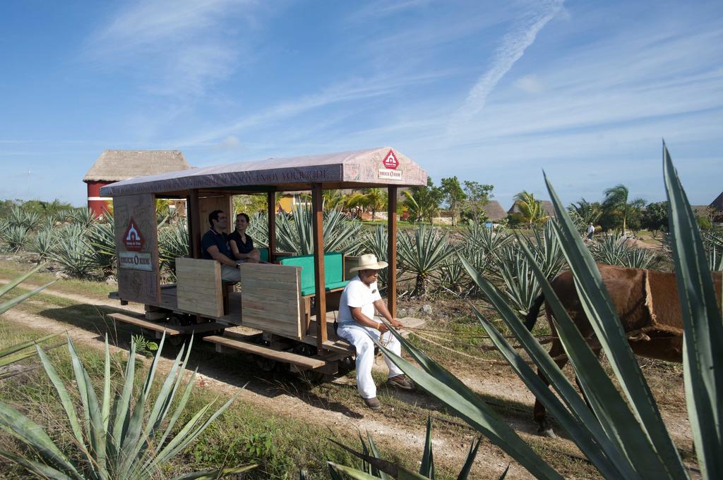 Hotel Hacienda Viva Sotuta De Peon à Tecoh Extérieur photo