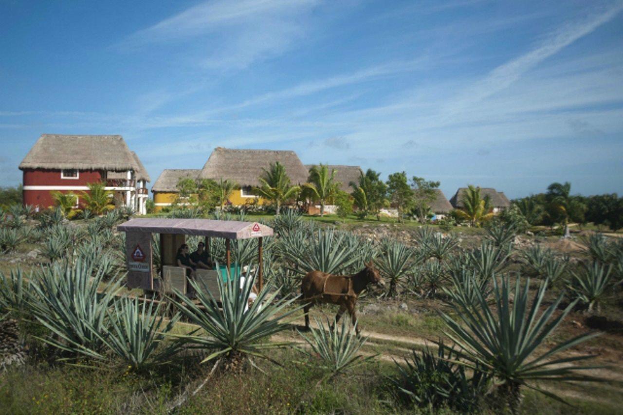 Hotel Hacienda Viva Sotuta De Peon à Tecoh Extérieur photo