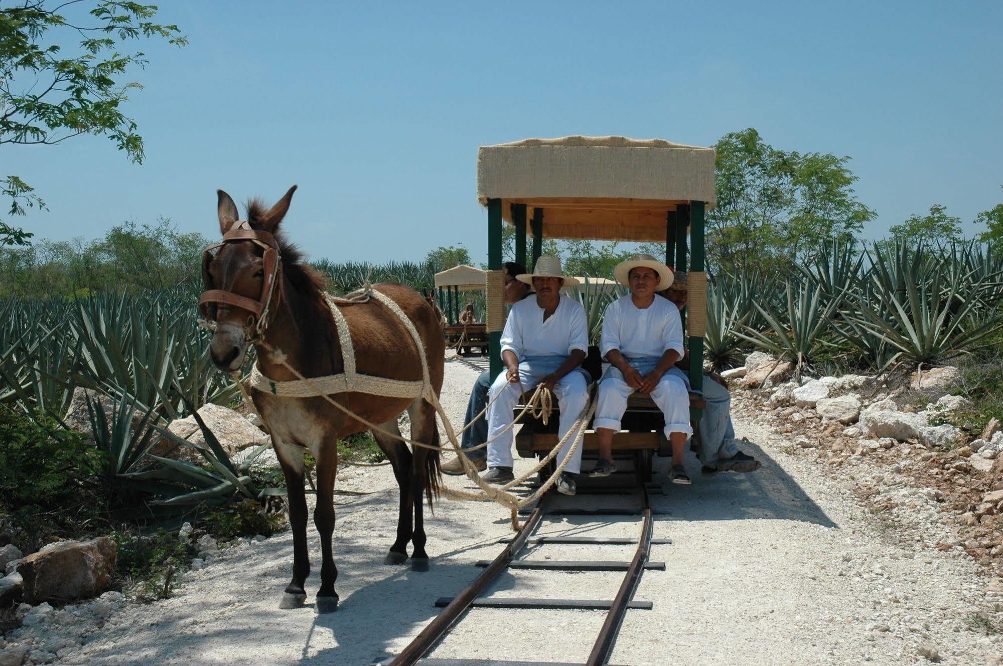Hotel Hacienda Viva Sotuta De Peon à Tecoh Extérieur photo